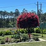 Serenity Πανσιόν 4*