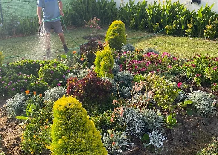 Гостевой дом Serenity