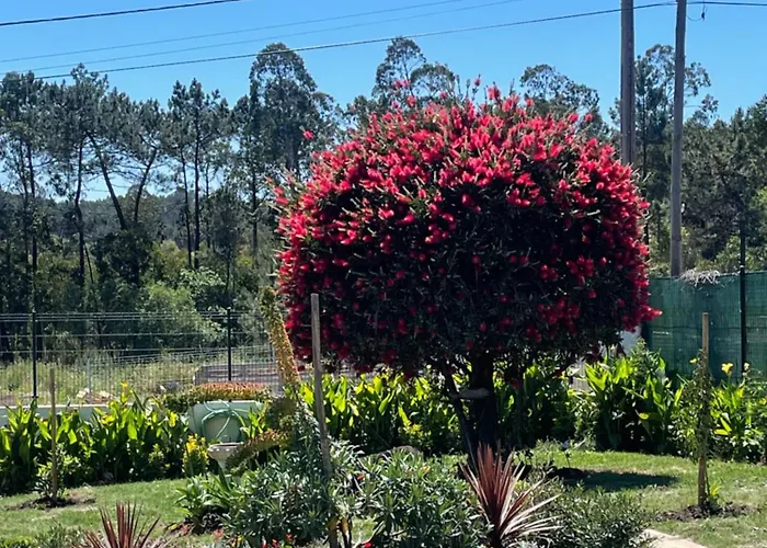 Serenity Гостевой дом 4*